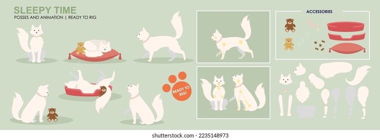 Persian cat, Cute cat sleeping, eating snacks, multiple poses, positions. Vector broken down ready to rig and animate, cartoon cat playing sleeping. Animation