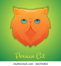 Persian cat face isolated with shadow. Vector illustration