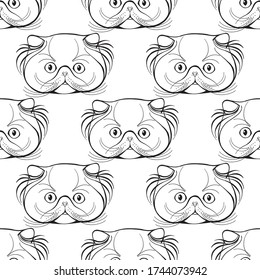 Persian cat face.  Seamless pattern. Hand-drawn vector illustration on white. Animal art background. Black and white. Outline.