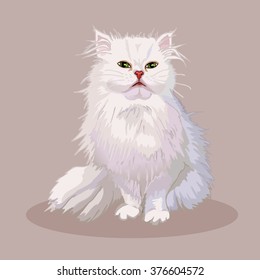 Persian cat. Favorite pet breed. Lovely fluffy kitten with green eyes. Realistic vector illustration. 