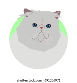 Persian cat icon, logo, symbol.