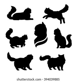 Persian cat icons and silhouettes. Jumping running sitting lying standing going cat. Set of vector black and white pets. Animals outlines. Tattoo art. Isolated fluffy kitten. Cat posing. 