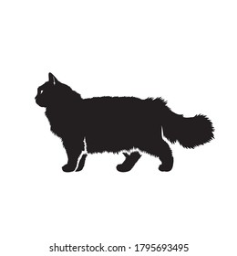 Persian cat - isolated vector illustration