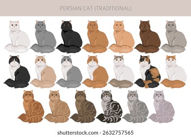Persian Cat longhaired clipart. Traditional classic type persian cat. All coat colors set.  All cat breeds characteristics infographic. Vector illustration