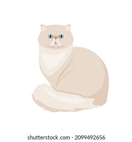 Persian cat on a white background. Cartoon design.
