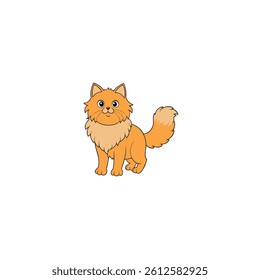 persian cat on white background
