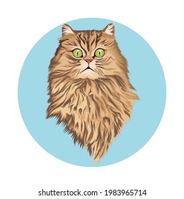 persian cat potrait vector illustration