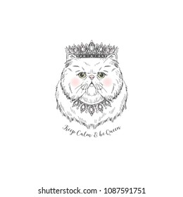Persian cat princess
