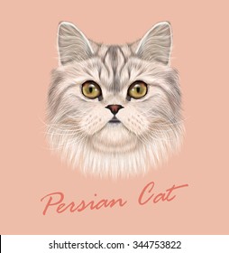 Persian cat purebred animal cute face. Vector funny white tabby gray cat head portrait. Realistic fur portrait of green eyes white Persian kitten isolated on pink background.