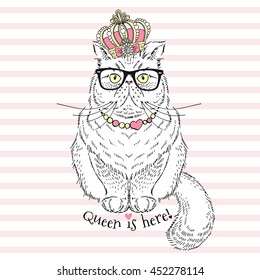 Persian Cat Queen, Hand Drawn Animal Illustration