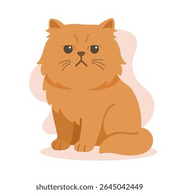 Gato persa com rosto redondo e casaco grosso senta com olhar temperamental. Este gato persa mostra a personalidade clássica e o luxo da raça de gato persa em cores suaves.