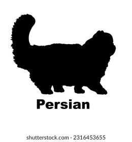 Persian cat silhouette. Cat breeds vector. Pet. Animal