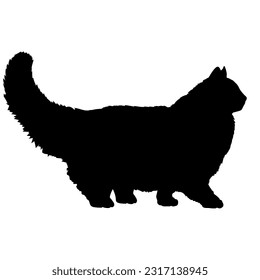 Persian cat silhouette cat breeds vector