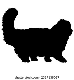 Vector de gatos de silueta de gato persa