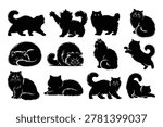 Persian Cat Silhouette Bundle – Fluffy Longhair Cat Poses Vector Collection