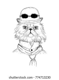 Persian cat in steampunk or retro style. Vector character cat in retro bowler-hat with round sunglasses and suit and tie. For interior or textile prints, covers and posters