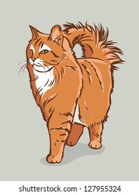 Persian cat - vector illustration