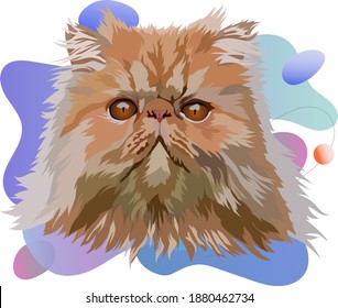 Persian cat vector illustration. Portrait on a colored background