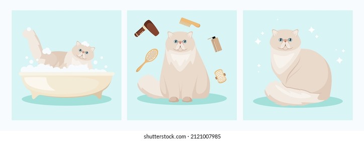 Persian cat washes in the bathroom. Grooming. Cartoon design.
