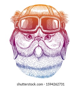 Persian cat. Wild animal. Vector fashion illustration for kids. Children shirt print with biker, motorcycle symbol.