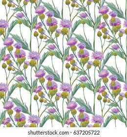 Persian cornflower. Vector seamless background pattern #2