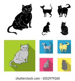 Persian, Cornish rex and other species. Cat breeds set collection icons in black, flat style vector symbol stock illustration web.