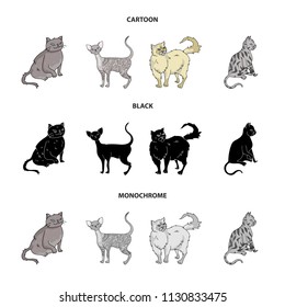 Persian, Cornish rex and other species. Cat breeds set collection icons in cartoon,black,monochrome style vector symbol stock illustration web.