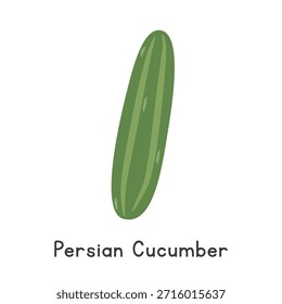 Ilustração plana do vetor do pepino persa isolada no fundo branco