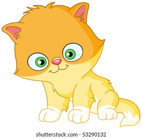 Persian kitten