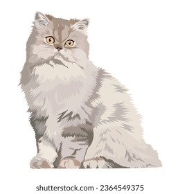 Persian Long Hair Cat Illustration