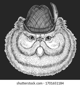 Persian longhair cat. Oktoberfest. Tirol traditional hat. Beer festival. Pet portait. Animal head. Kitty face.