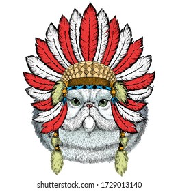 Persian longhair cat. Pet portait. Indian headdress with feathers. Boho style.