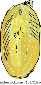 Persian melon, illustration, vector on white background.