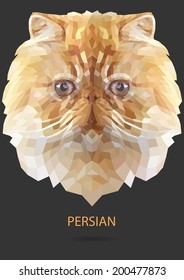 Persian vector polygon geometric