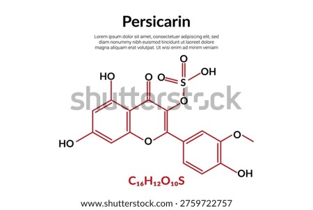 Persicarin, flavonoid, molecular structural chemical formula, suitable for education or chemistry science content. Vector illustration