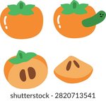 Persimmon Autumn Vector Collection Set