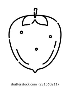 Persimmon black and white vector line icon