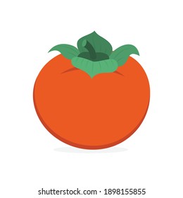 Persimmon. Persimmon color flat vector illustration. Hand drawn persimmon graphic. Part of set.