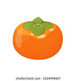 Persimmon, flat style vector illustration isolated on white background