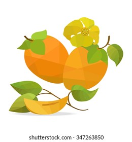 Persimmon and flower