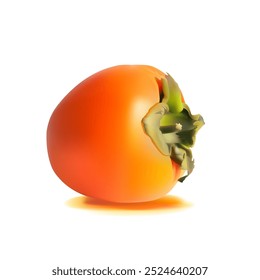 Persimmon. Fresh, nutritious, delicious persimmon. A delicious and healthy dessert. Elements for label design. Fruit ingredients in mesh technique. Vector illustration.