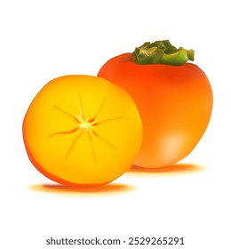 Persimmon. Fresh, nutritious, delicious persimmon. A delicious and healthy dessert. Elements for label design. Fruit ingredients in mesh technique. Vector illustration.