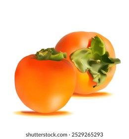 Persimmon. Fresh, nutritious, delicious persimmon. A delicious and healthy dessert. Elements for label design. Fruit ingredients in mesh technique. Vector illustration.