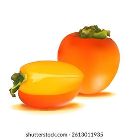 Persimmon. Fresh, nutritious, delicious persimmon. A delicious and healthy dessert. Elements for label design. Fruit ingredients in mesh technique. Vector illustration.
