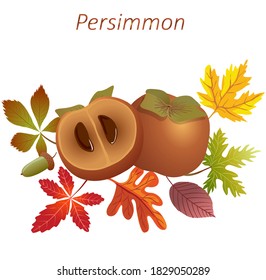 Persimmon fruit among autumn leaves. Maple, oak, chestnut leaves. A slice of persimmon. Persimmon seeds.
