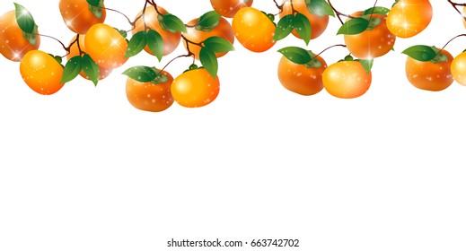 Persimmon fruit autumn background