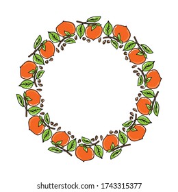 Borde de fruta de persimmon aislado sobre fondo blanco. Estilo dibujado a mano. Ilustración vectorial. Elemento de diseño para folletos, folletos, afiches, pegatinas.