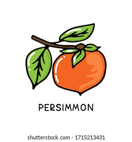 Recogida de frutas persimmon aislada en fondo blanco. Estilo dibujado a mano. Ilustración vectorial. Elemento de diseño para tarjeta, folleto, folleto, póster, adhesivo.