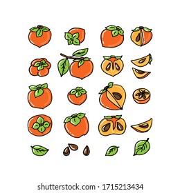 Recogida de frutas persimmon aislada en fondo blanco. Estilo dibujado a mano. Ilustración vectorial. Elemento de diseño para tarjeta, folleto, folleto, póster, adhesivo.