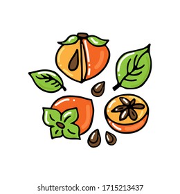 Persimmon fruit collection isolated on white background. Hand drawn style. Vector illustration. Design element for card, leaflet, booklet, poster, sticker.